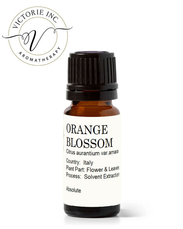 Orange Blossom Aboslute