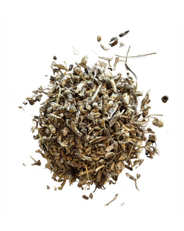 Spikenard Root
