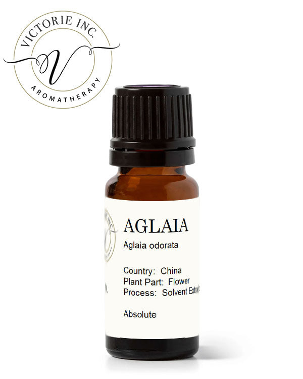 Aglaia Odorata Absolute