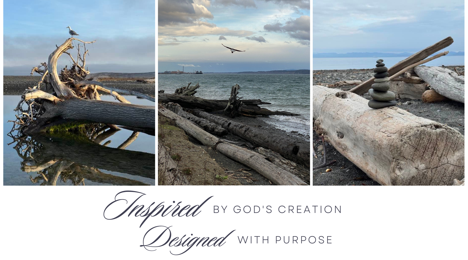 Three coastal scenes with driftwood and a bird, featuring text 'Inspired by God's Creation, Designed with Purpose'.