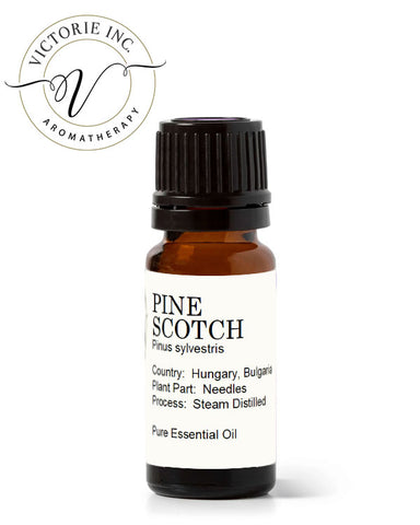 Scotch Pine Essential OIl