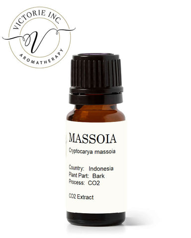 Massoia Bark CO2 Oil
